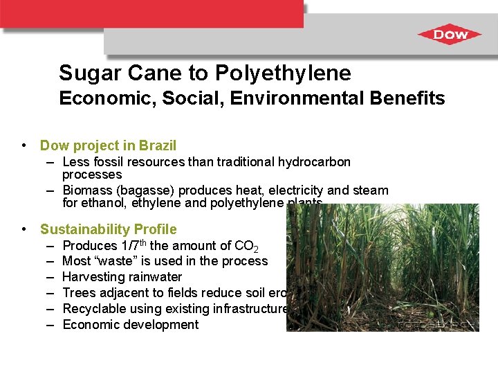 Sugar Cane to Polyethylene Economic, Social, Environmental Benefits • Dow project in Brazil –