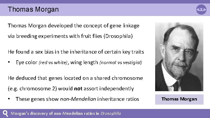 Thomas Morgan developed the concept of gene linkage via breeding experiments with fruit flies