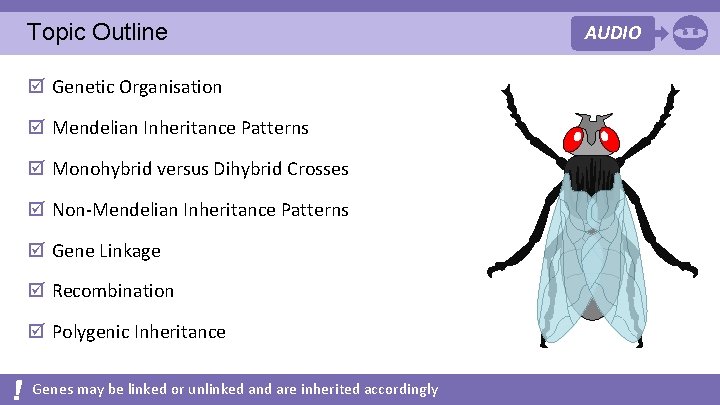 Topic Outline þ Genetic Organisation þ Mendelian Inheritance Patterns þ Monohybrid versus Dihybrid Crosses