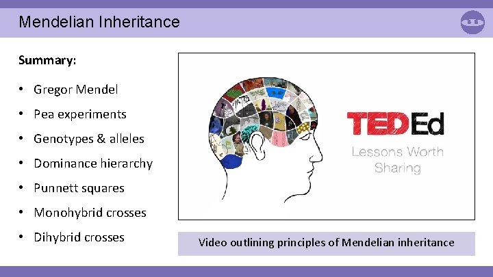 Mendelian Inheritance Summary: • Gregor Mendel • Pea experiments • Genotypes & alleles •
