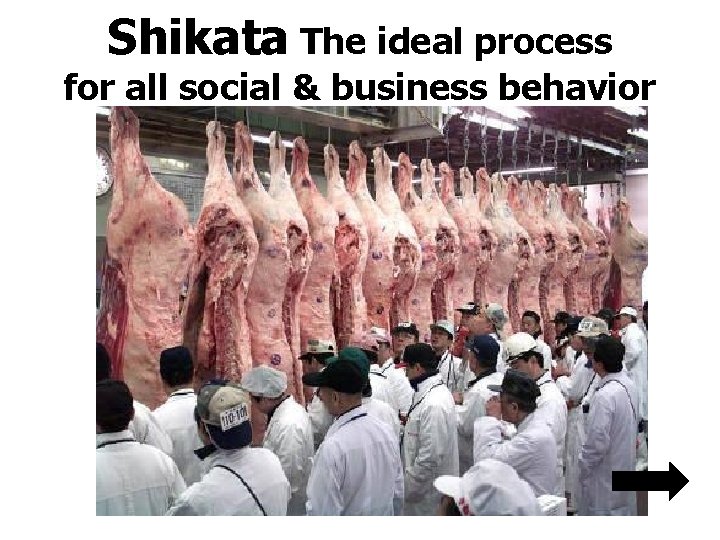 Shikata The ideal process for all social & business behavior Shikata The ideal process for all social & business behavior