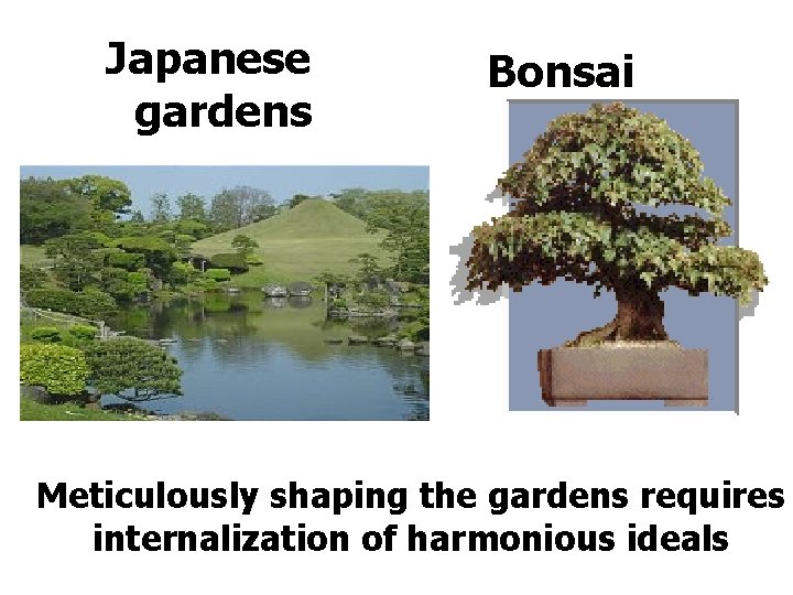 Japanese gardens Bonsai Meticulously shaping the gardens requires internalization of harmonious ideals 