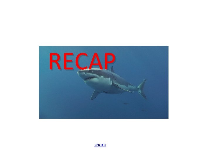 RECAP shark 