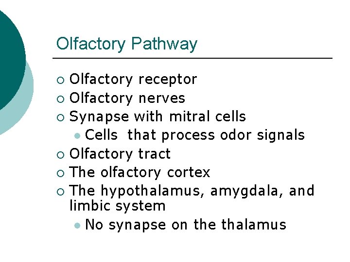 Olfactory Pathway Olfactory receptor ¡ Olfactory nerves ¡ Synapse with mitral cells l Cells