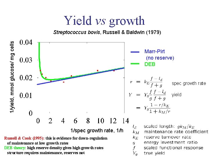 Yield vs growth 1/yield, mmol glucose/ mg cells Streptococcus bovis, Russell & Baldwin (1979)