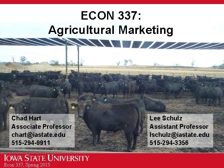 ECON 337: Agricultural Marketing Chad Hart Associate Professor chart@iastate. edu 515 -294 -9911 Econ