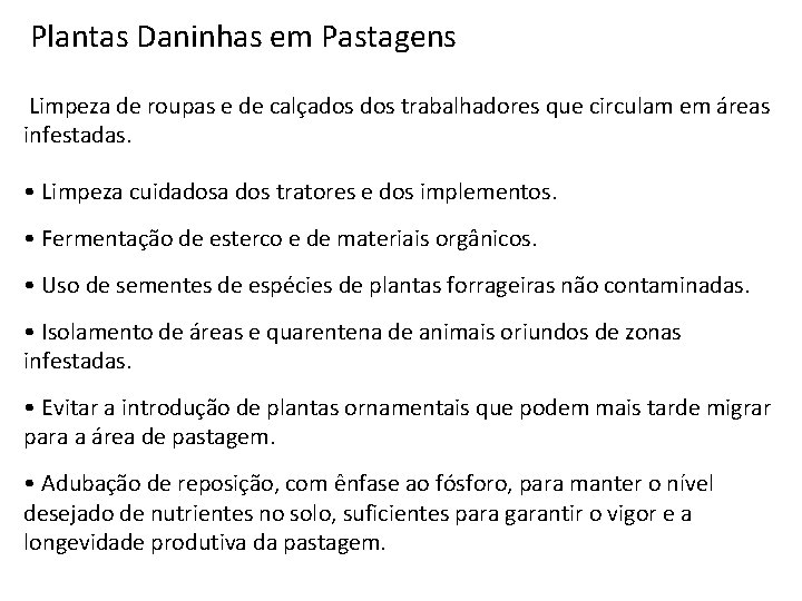 Plantas Daninhas em Pastagens Limpeza de roupas e de calçados trabalhadores que circulam em