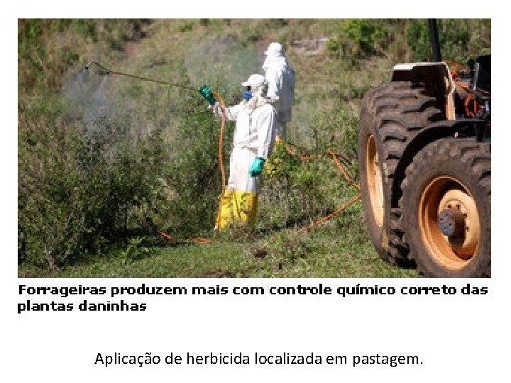 Aplicação de herbicida localizada em pastagem. 