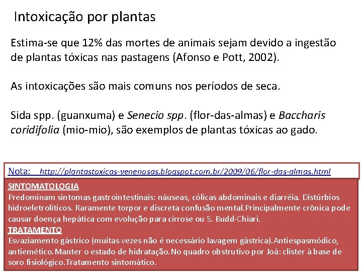 Intoxicação por plantas Estima-se que 12% das mortes de animais sejam devido a ingestão