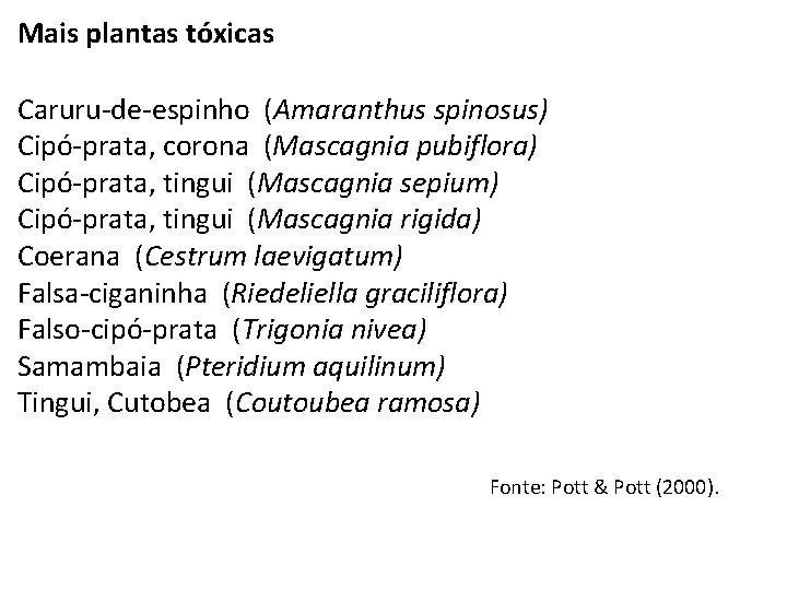 Mais plantas tóxicas Caruru-de-espinho (Amaranthus spinosus) Cipó-prata, corona (Mascagnia pubiflora) Cipó-prata, tingui (Mascagnia sepium)