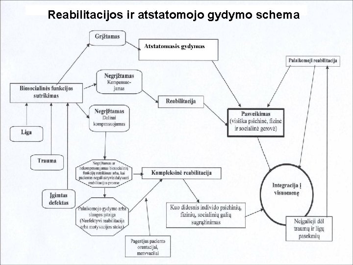 Reabilitacijos ir atstatomojo gydymo schema 