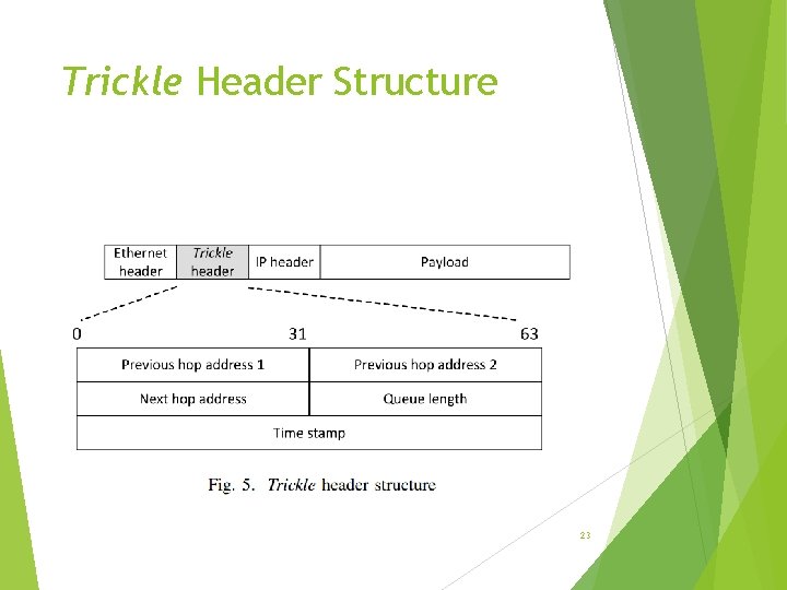 Trickle Header Structure 23 