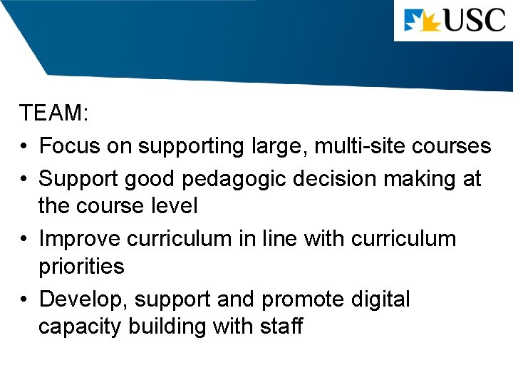 TEAM: • Focus on supporting large, multi-site courses • Support good pedagogic decision making