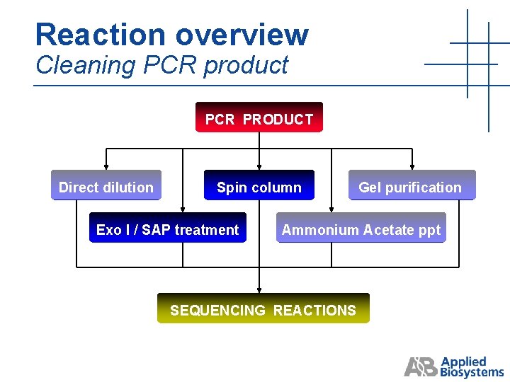Reaction overview Cleaning PCR product PCR PRODUCT Direct dilution Spin column Exo I / Reaction overview Cleaning PCR product PCR PRODUCT Direct dilution Spin column Exo I /