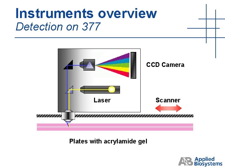 Instruments overview Detection on 377 CCD Camera Laser Plates with acrylamide gel Scanner Instruments overview Detection on 377 CCD Camera Laser Plates with acrylamide gel Scanner