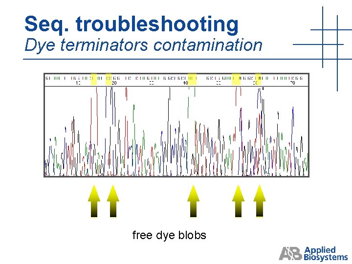 Seq. troubleshooting Dye terminators contamination free dye blobs Seq. troubleshooting Dye terminators contamination free dye blobs