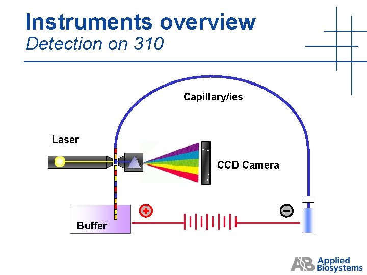 Instruments overview Detection on 310 Capillary/ies Laser CCD Camera Buffer Instruments overview Detection on 310 Capillary/ies Laser CCD Camera Buffer