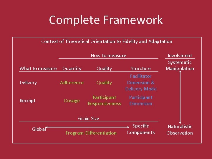 Complete Framework Context of Theoretical Orientation to Fidelity and Adaptation How to measure What