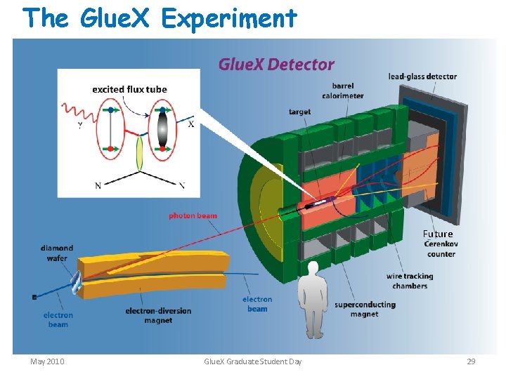 The Glue. X Experiment Future May 2010 Glue. X Graduate Student Day 29 