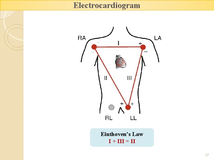Electrocardiogram Einthoven's Law I + III = II 17 