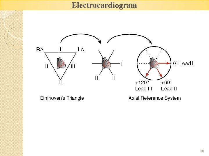 Electrocardiogram 18 