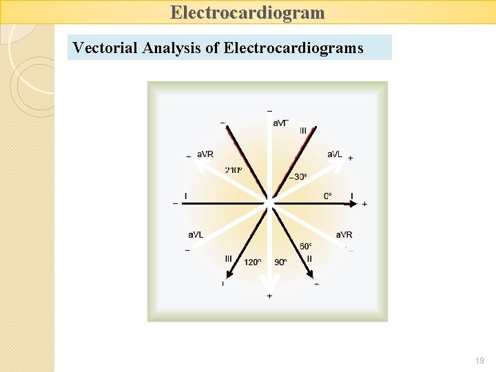 Electrocardiogram Vectorial Analysis of Electrocardiograms 19 