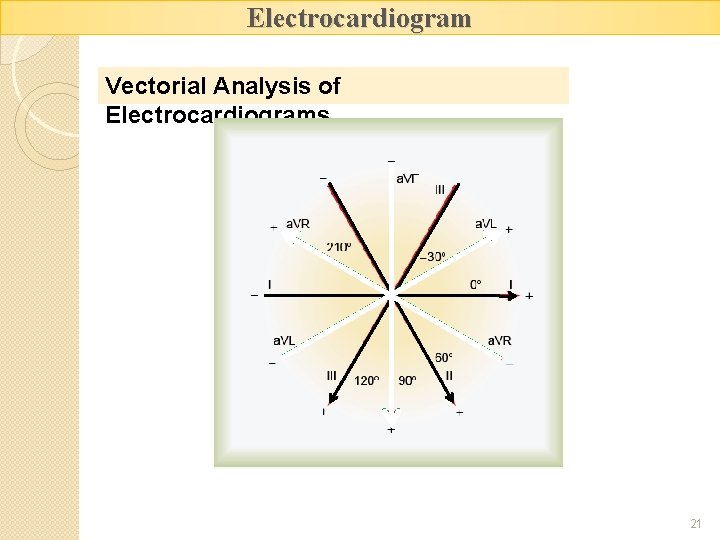 Electrocardiogram Vectorial Analysis of Electrocardiograms 21 