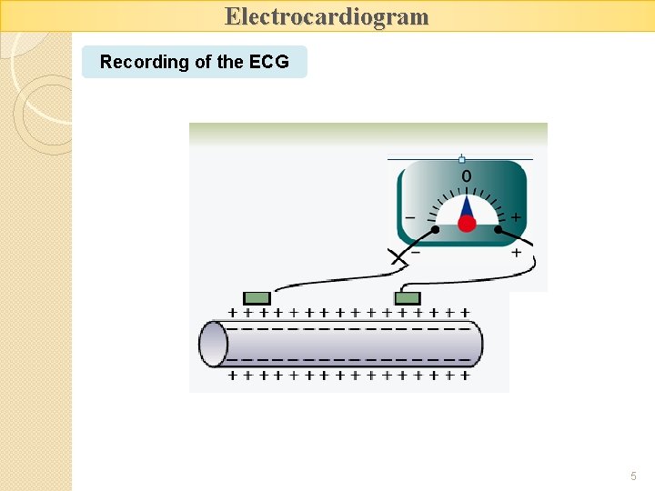 Electrocardiogram Recording of the ECG 5 