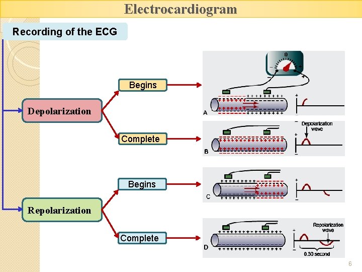 Electrocardiogram Recording of the ECG Begins Depolarization Complete Begins Repolarization Complete 6 