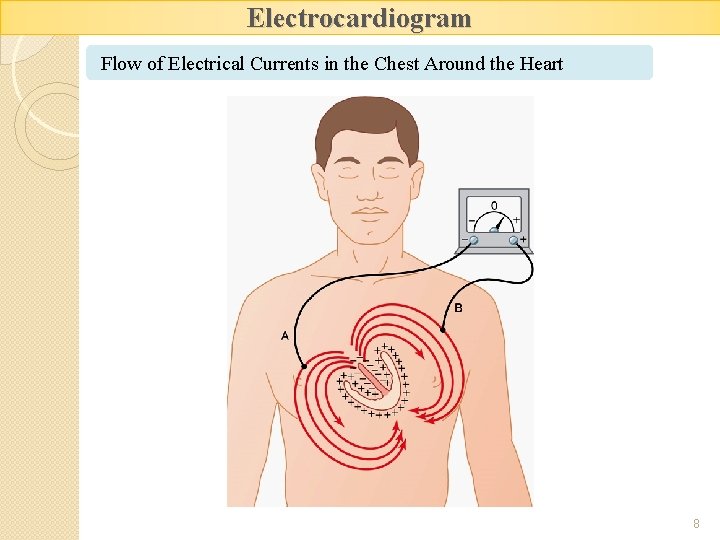 Electrocardiogram Flow of Electrical Currents in the Chest Around the Heart 8 
