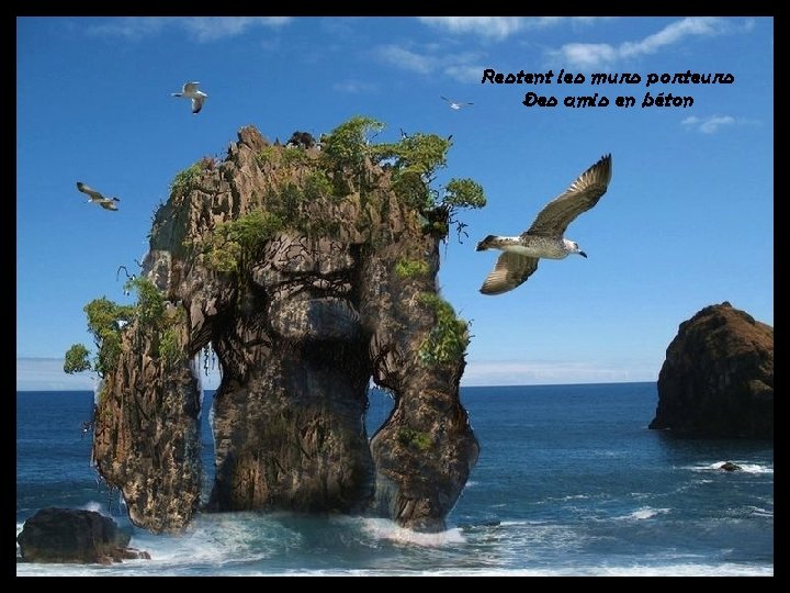 Restent les murs porteurs Des amis en béton 