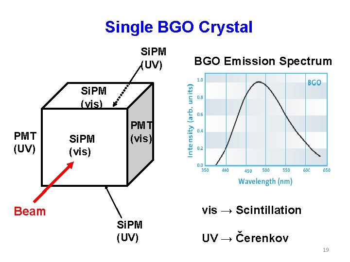 Single BGO Crystal Si. PM (UV) BGO Emission Spectrum Si. PM (vis) PMT (UV)