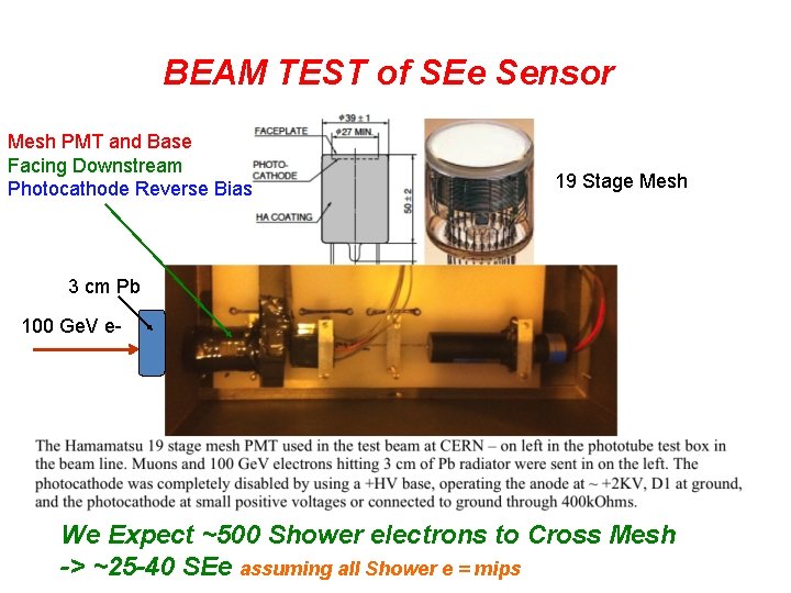 BEAM TEST of SEe Sensor Mesh PMT and Base Facing Downstream Photocathode Reverse Bias