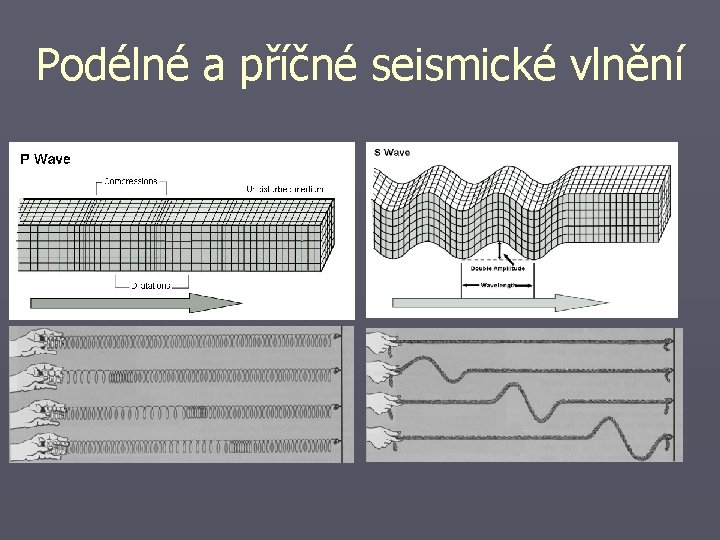 Podélné a příčné seismické vlnění 