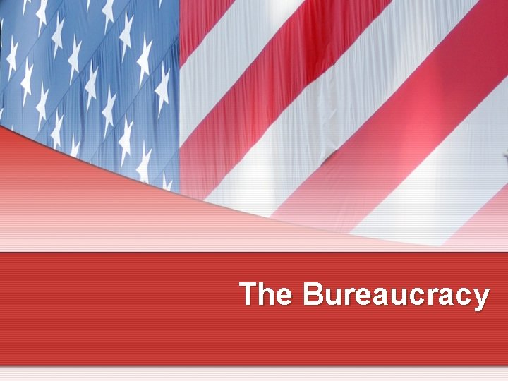 The Bureaucracy 