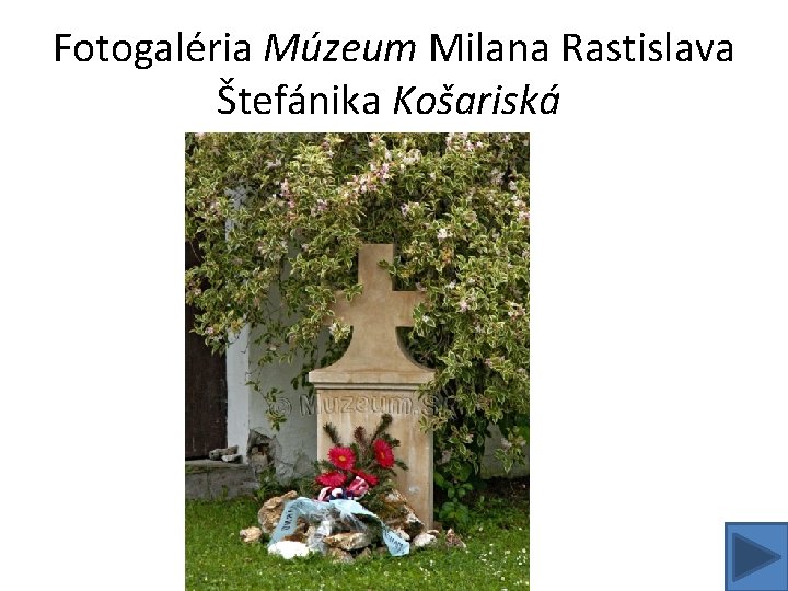 Fotogaléria Múzeum Milana Rastislava Štefánika Košariská 