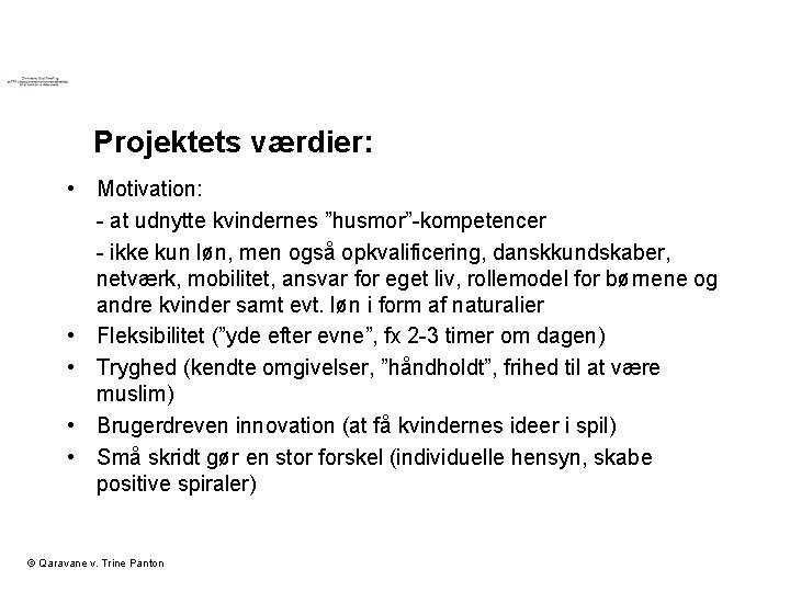 Projektets værdier: • Motivation: - at udnytte kvindernes ”husmor”-kompetencer - ikke kun løn, men