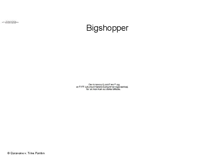 Bigshopper © Qaravane v. Trine Panton 