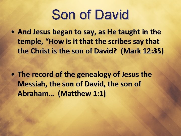 Son of David • And Jesus began to say, as He taught in the