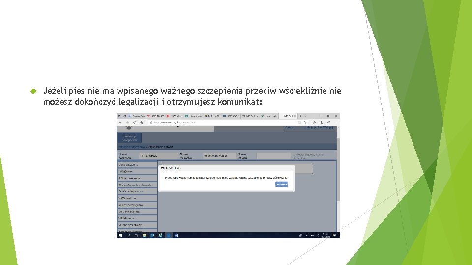  Jeżeli pies nie ma wpisanego ważnego szczepienia przeciw wściekliźnie możesz dokończyć legalizacji i