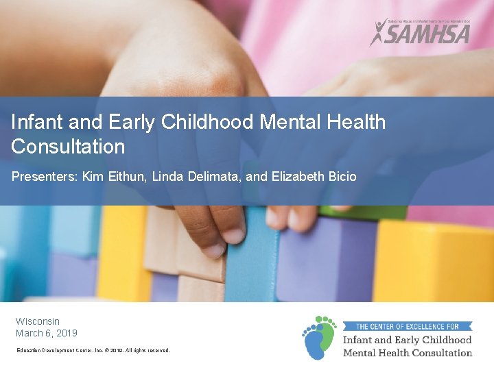 Infant and Early Childhood Mental Health Consultation Presenters