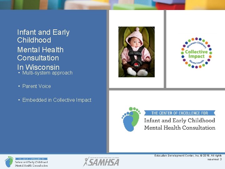 Infant and Early Childhood Mental Health Consultation Presenters