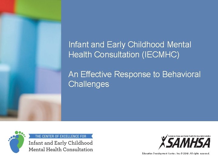 Infant and Early Childhood Mental Health Consultation Presenters