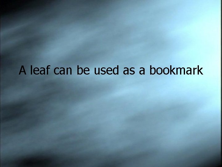 A leaf can be used as a bookmark 