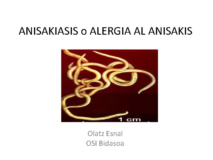 ANISAKIASIS o ALERGIA AL ANISAKIS Olatz Esnal OSI Bidasoa 