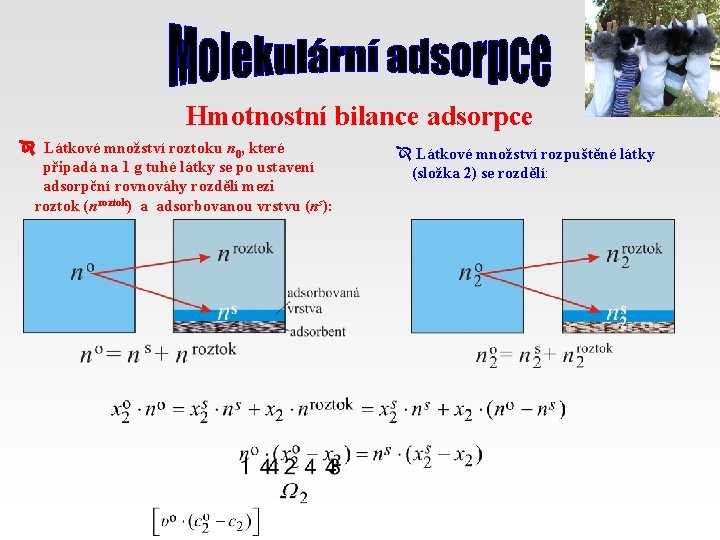 Hmotnostní bilance adsorpce Látkové množství roztoku n 0, které připadá na 1 g tuhé