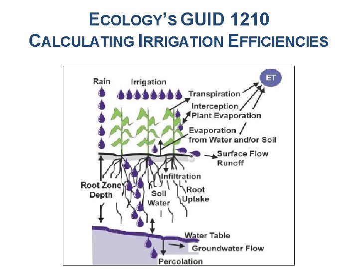 ECOLOGY’S GUID 1210 CALCULATING IRRIGATION EFFICIENCIES 