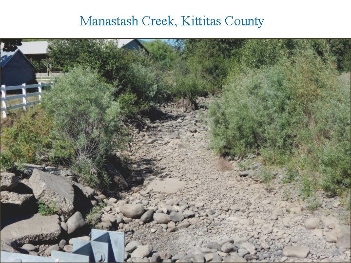 Manastash Creek, Kittitas County 