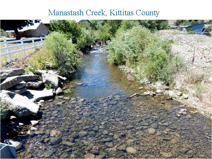 Manastash Creek, Kittitas County Manastash Creek – Before/After supplementation 