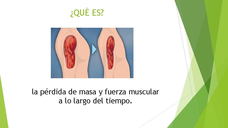 ¿QUÈ ES? la pérdida de masa y fuerza muscular a lo largo del tiempo.